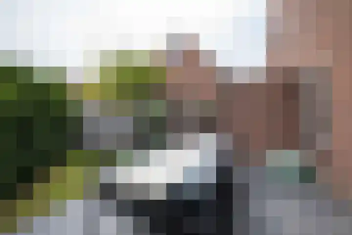 Bandholm 87 Hoofddorp thumbnail 4