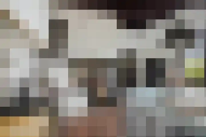 Bandijk 15 Terwolde thumbnail 10