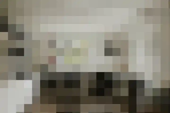 Bandijk 15 Terwolde thumbnail 14