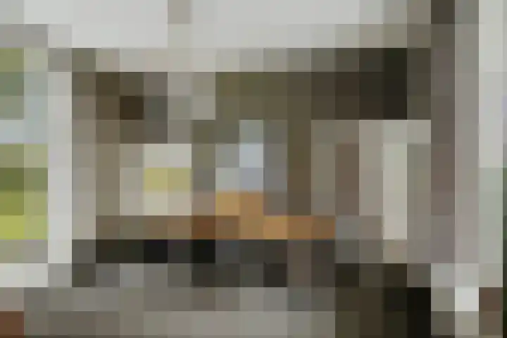 Bandijk 15 Terwolde thumbnail 17