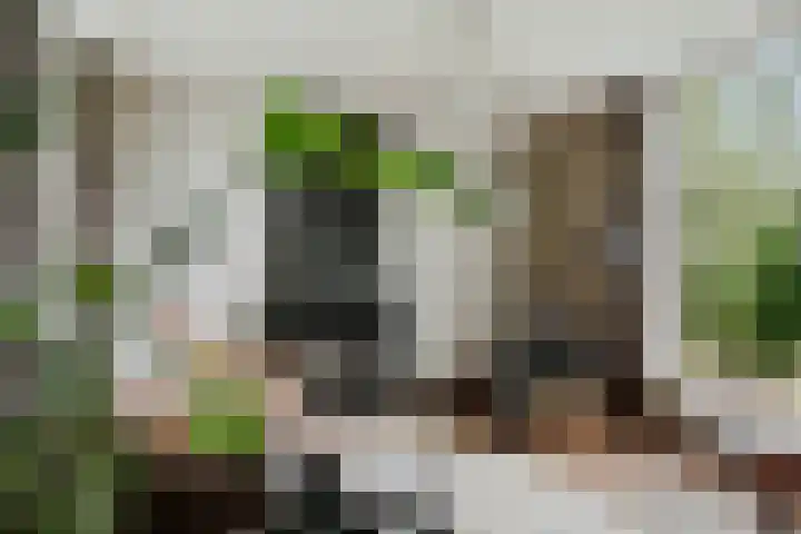 Bandijk 15 Terwolde thumbnail 23