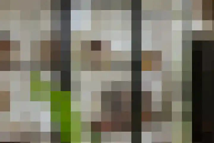 Bandijk 15 Terwolde thumbnail 30