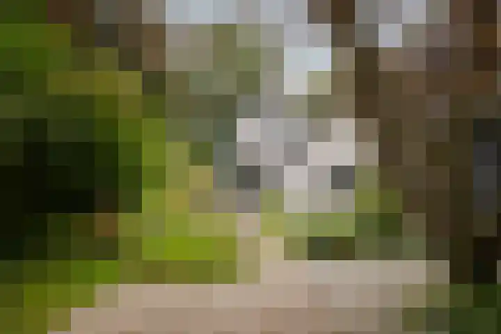 Bandijk 15 Terwolde thumbnail 4