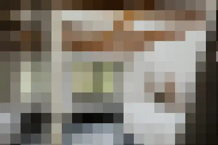 Bandijk 15 Terwolde thumbnail 43