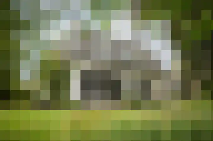 Bandijk 15 Terwolde thumbnail 45