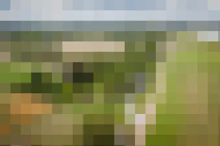 Bandijk 15 Terwolde thumbnail 47