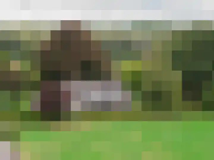 Bandijk 15 Terwolde thumbnail 48