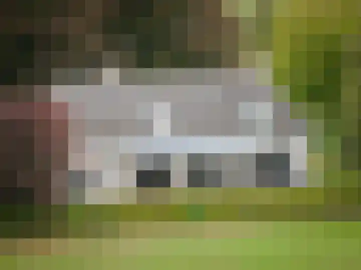 Bandijk 15 Terwolde thumbnail 49