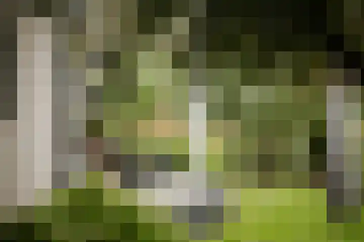 Bandijk 15 Terwolde thumbnail 50