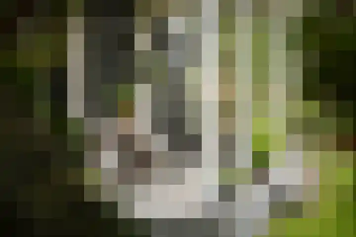 Bandijk 15 Terwolde thumbnail 51