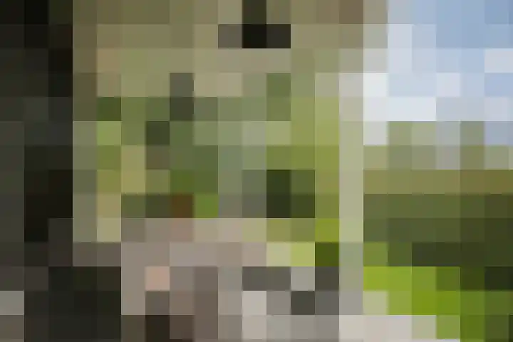 Bandijk 15 Terwolde thumbnail 52