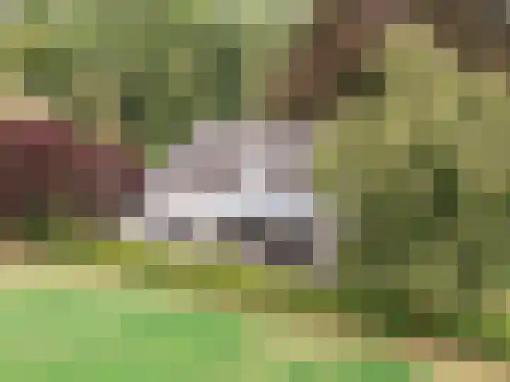 Bandijk 15 Terwolde thumbnail 54
