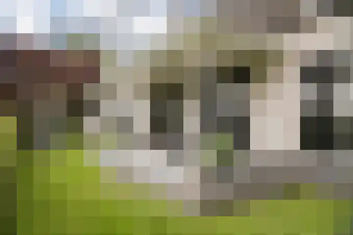 Bandijk 15 Terwolde thumbnail 55