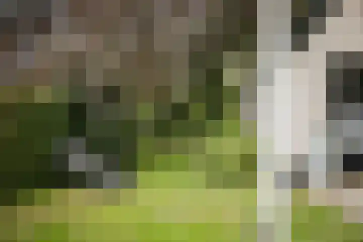 Bandijk 15 Terwolde thumbnail 57