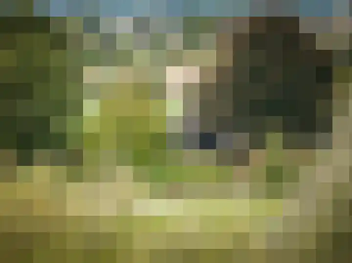 Bandijk 15 Terwolde thumbnail 59