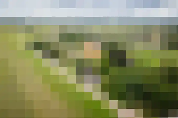 Bandijk 15 Terwolde thumbnail 60