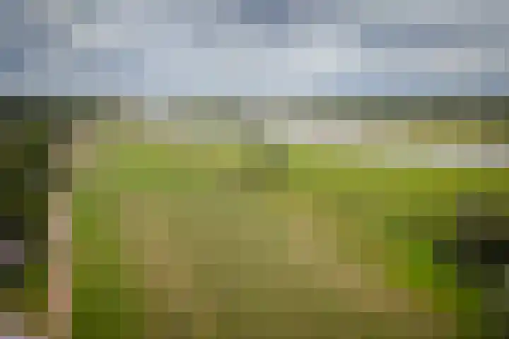 Bandijk 15 Terwolde thumbnail 61