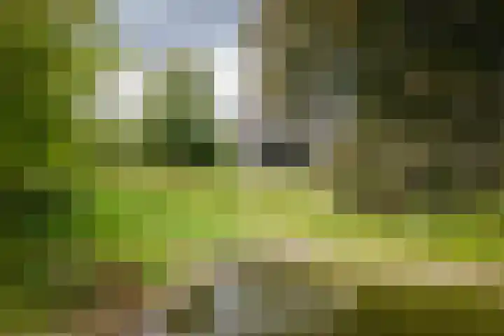Bandijk 15 Terwolde thumbnail 62