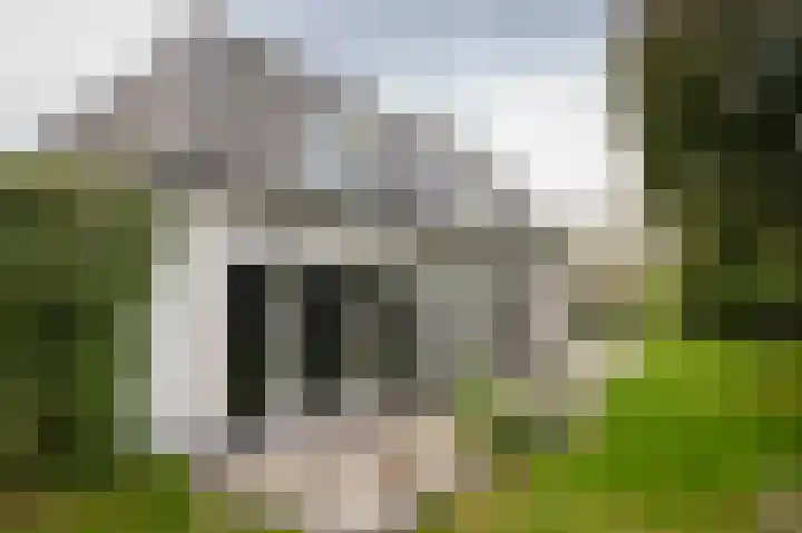 Bandijk 15 Terwolde thumbnail 65