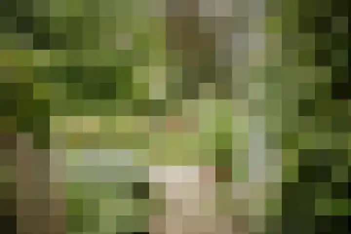 Bandijk 15 Terwolde thumbnail 66