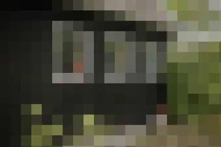 Bandijk 15 Terwolde thumbnail 69