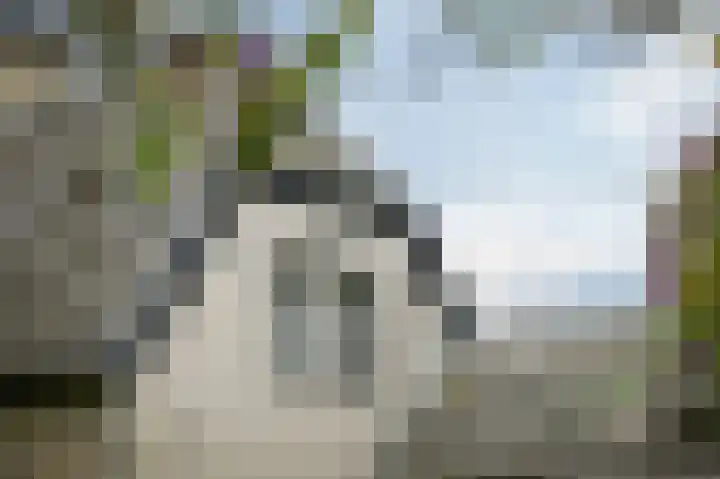 Bandijk 15 Terwolde thumbnail 70
