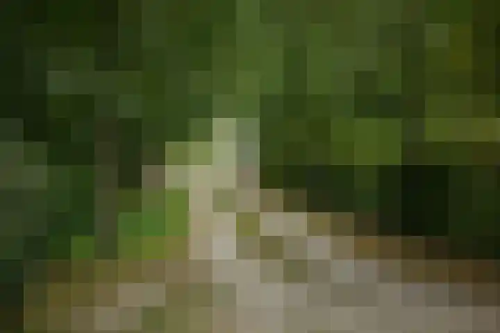 Bandijk 15 Terwolde thumbnail 71