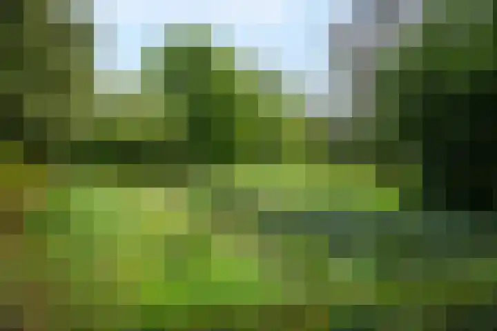 Bandijk 15 Terwolde thumbnail 72