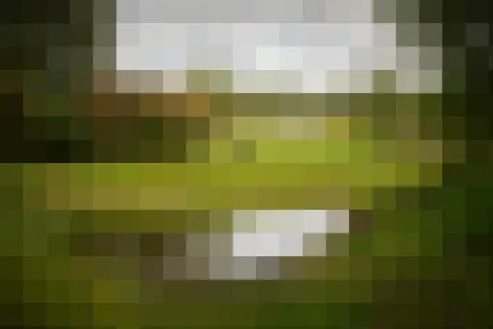Bandijk 15 Terwolde thumbnail 73