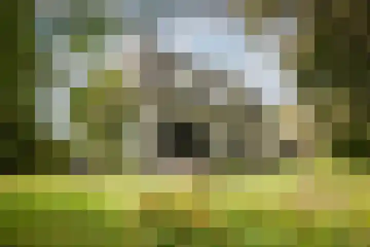 Bandijk 15 Terwolde thumbnail 75