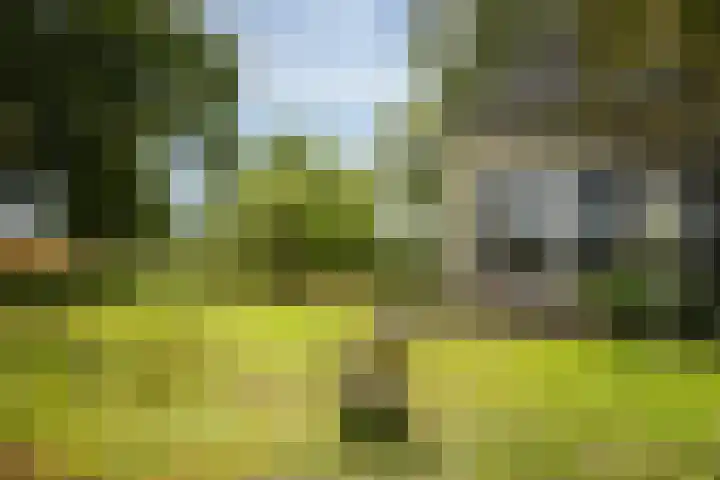 Bandijk 15 Terwolde thumbnail 76