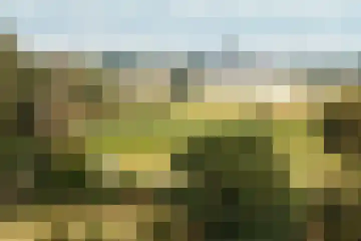 Bandijk 15 Terwolde thumbnail 78