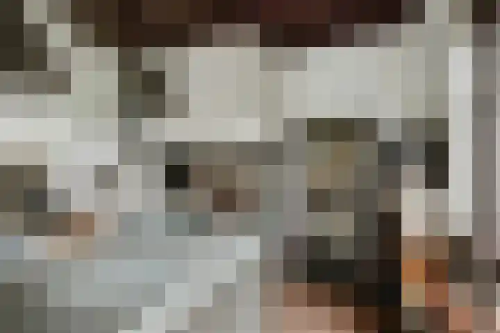 Bandijk 15 Terwolde thumbnail 9