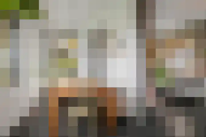 Bandijk 20 Terwolde thumbnail 14