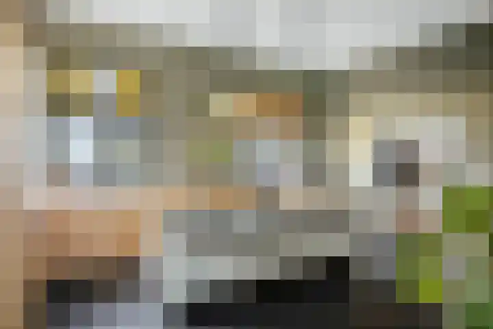 Bandijk 20 Terwolde thumbnail 18