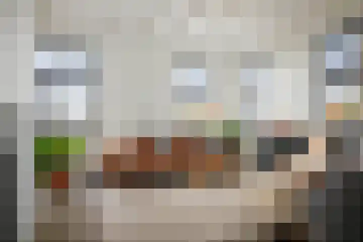 Bandijk 20 Terwolde thumbnail 23