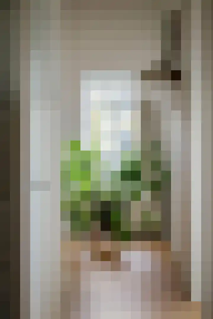 Bandijk 20 Terwolde thumbnail 31