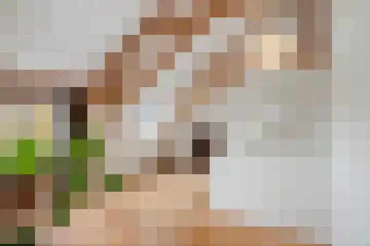 Bandijk 20 Terwolde thumbnail 32