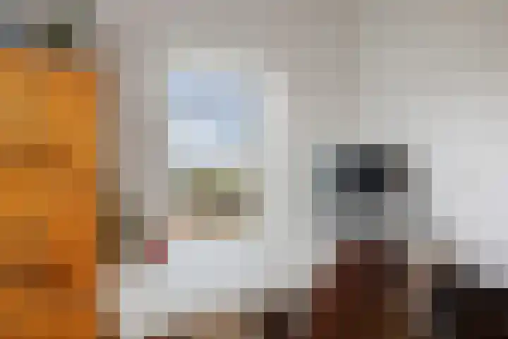 Bandijk 20 Terwolde thumbnail 34