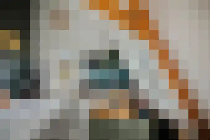 Bandijk 20 Terwolde thumbnail 36