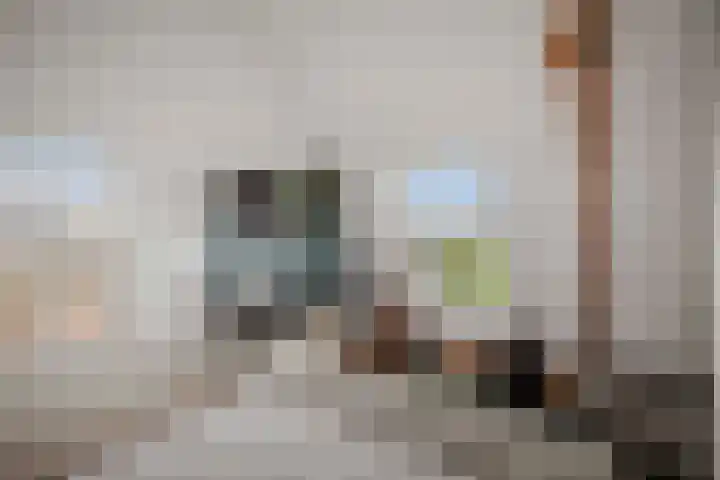 Bandijk 20 Terwolde thumbnail 37