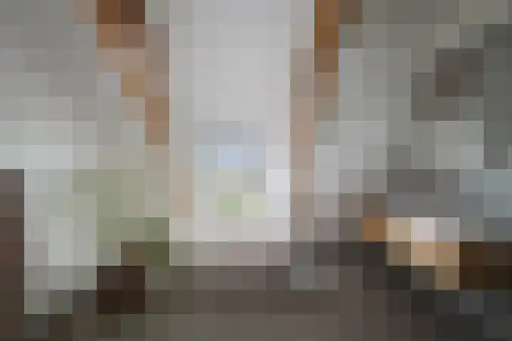 Bandijk 20 Terwolde thumbnail 38