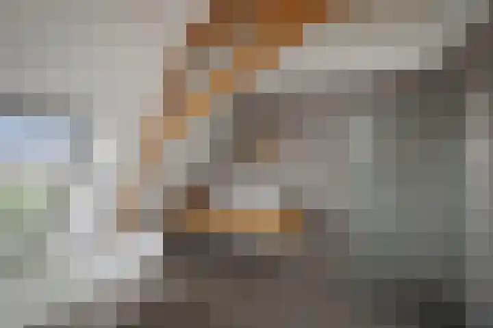 Bandijk 20 Terwolde thumbnail 39