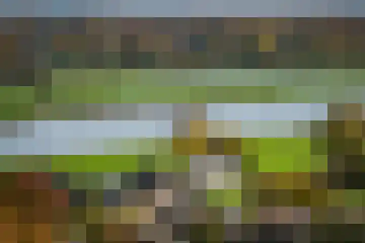 Bandijk 20 Terwolde thumbnail 4