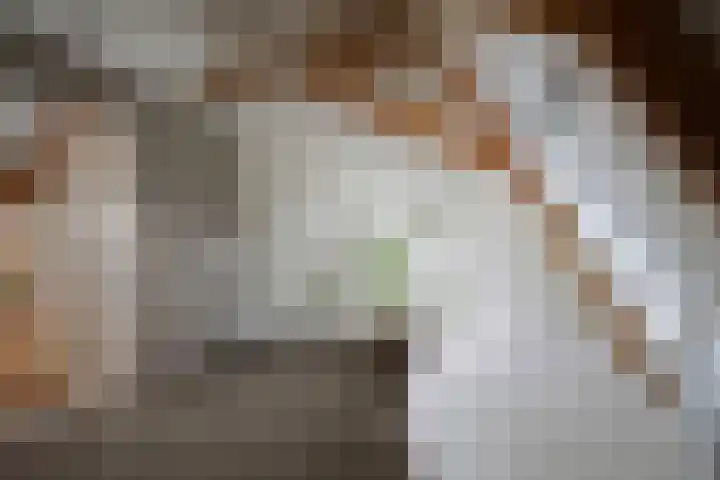 Bandijk 20 Terwolde thumbnail 40