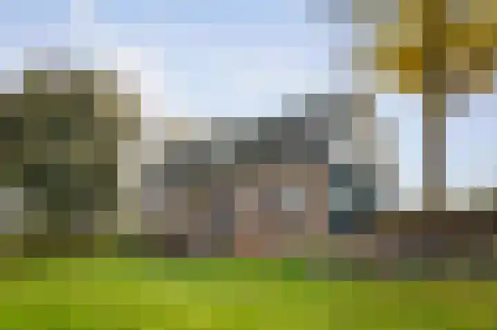 Bandijk 20 Terwolde thumbnail 43