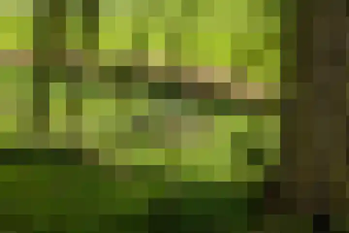 Bandijk 20 Terwolde thumbnail 44