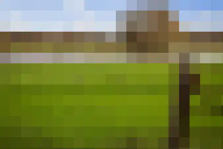 Bandijk 20 Terwolde thumbnail 47