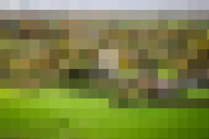 Bandijk 20 Terwolde thumbnail 48