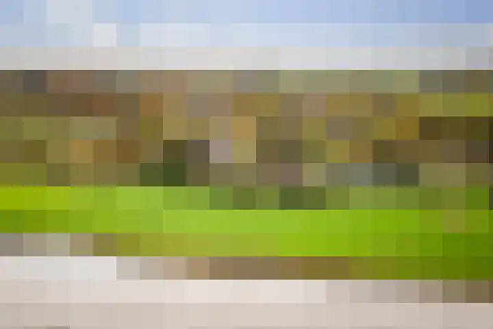 Bandijk 20 Terwolde thumbnail 49